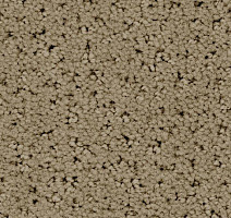 Ковролин Balsan Egerie 630 фото 1 | FLOORDEALER