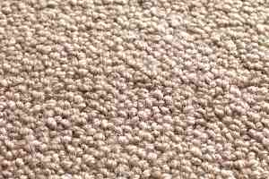 Ковролин Jacaranda Carpets Milford Pumice фото  | FLOORDEALER