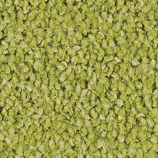 Ковролин Sintelon Spark 50554 фото 1 | FLOORDEALER