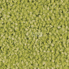 Ковролин Sintelon Spark 50554 фото 1 | FLOORDEALER