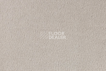 Ковролин Vorwerk Passion 1000/Modena Vorwerk 5n40 фото 1 | FLOORDEALER