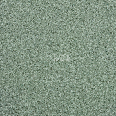 Линолеум Lg Trendy TD12402 фото 1 | FLOORDEALER