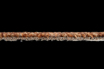 AW Medusa 84 фото 4 | FLOORDEALER