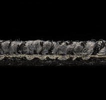 Balsan Progression 940 фото 3 | FLOORDEALER