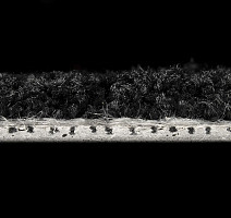 ColorKey ColorKey 07 фото 3 | FLOORDEALER