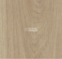 Кварцвиниловые полы Forbo allura decibel 0.8 wood 5503AD8 sun-bleached serene oak (100x20 cm) фото 1 | FLOORDEALER