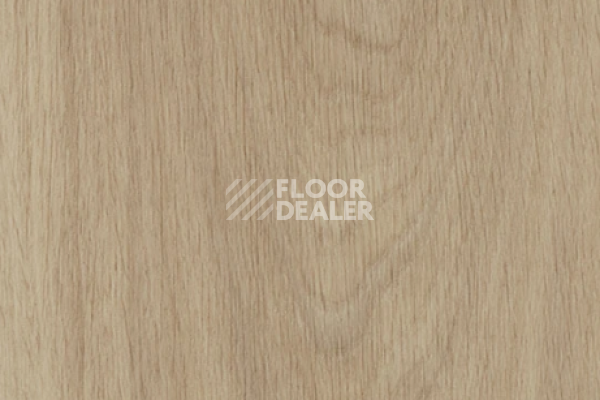 Виниловая плитка ПВХ FORBO allura decibel 0.8 wood 5503AD8 sun-bleached serene oak (100x20 cm) фото 1 | FLOORDEALER