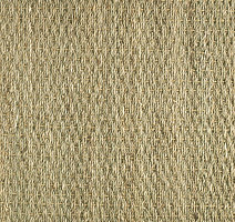 Ковролин Balsan ALONG 650 фото 1 | FLOORDEALER