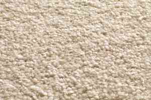 Ковролин Jacaranda Carpets Tapanui Bamboo фото  | FLOORDEALER