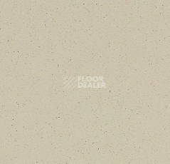 Линолеум Forbo SureStep balance 173342 limestone фото 1 | FLOORDEALER