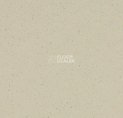 Линолеум Forbo SureStep balance 173342 limestone фото 1 | FLOORDEALER