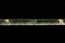 Haima Chic 05 фото 4 | FLOORDEALER