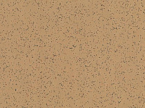 Линолеум Polyflor Polysafe Ecomax 4623 Caraway фото 1 | FLOORDEALER