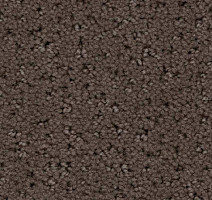 Ковролин Balsan Egerie 760 фото 1 | FLOORDEALER