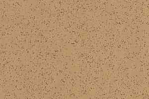 Линолеум Polyflor Polysafe Ecomax 4623 Caraway фото  | FLOORDEALER