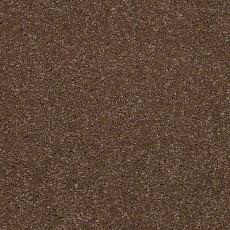 Ковролин Shaw Design Texture Platinum 710 фото 1 | FLOORDEALER