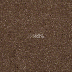 Ковролин Shaw Design Texture Platinum 710 фото 1 | FLOORDEALER