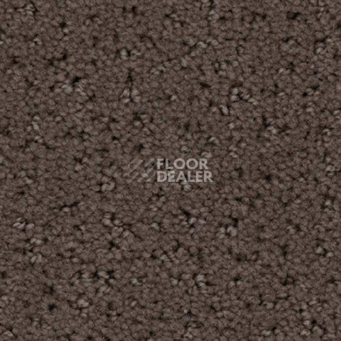 Ковролин Balsan Egerie 760 фото 1 | FLOORDEALER