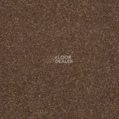 Ковролин Shaw Design Texture Platinum 710 фото 1 | FLOORDEALER