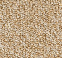 Ковролин Balsan Omega 648 фото 1 | FLOORDEALER