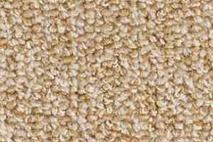 Ковролин Balsan Omega 648 фото  | FLOORDEALER