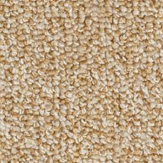Balsan Omega 648 фото 1 | FLOORDEALER