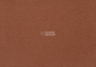 Ковролин Lano Zen 311 фото 1 | FLOORDEALER