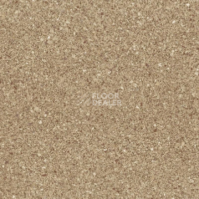 Линолеум Tarkett Sprint Pro MEDANO 3 фото 1 | FLOORDEALER