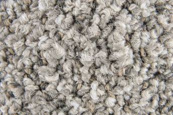 Desso Solid ac 73 1321 v фото 6 | FLOORDEALER