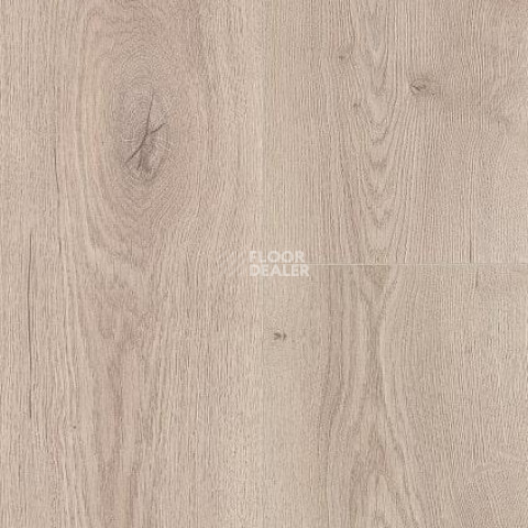 Wineo 700 Wood XXL V4 8мм LA227XXLV4 Дуб Шведский Бежевый фото 2 | FLOORDEALER