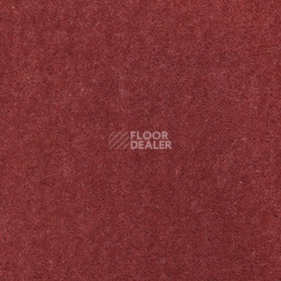 Ковролин Creatuft Sheba 1045 Egyptian red 5m фото 1 | FLOORDEALER