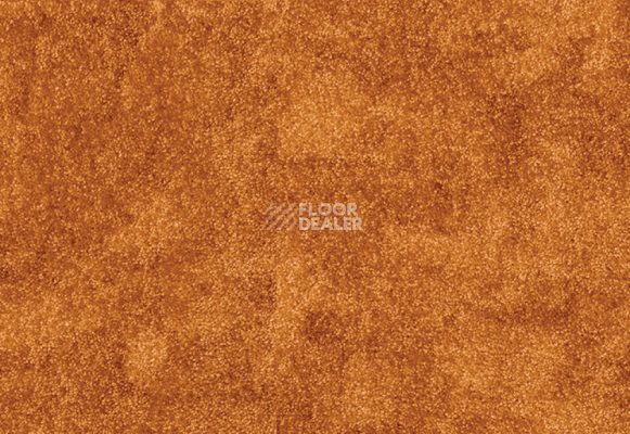 Ковролин AW Masquerade Vittorio 84 фото 1 | FLOORDEALER