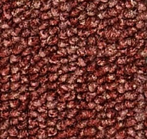 Ковролин Infloor Campo 155 фото 1 | FLOORDEALER