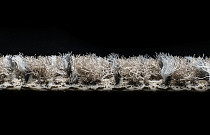 AW Magma 49 фото 4 | FLOORDEALER