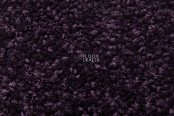 Balsan Serenite 890 фото 2 | FLOORDEALER