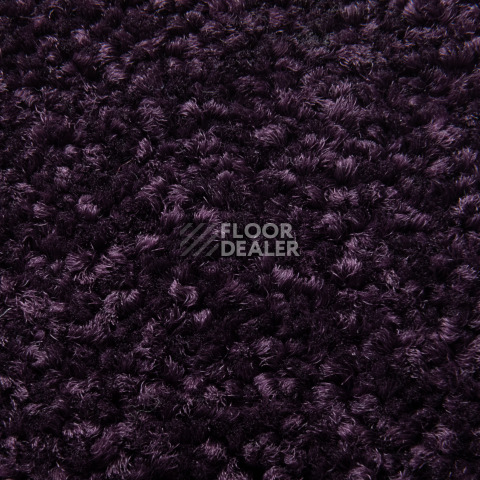 Balsan Serenite 890 фото 2 | FLOORDEALER