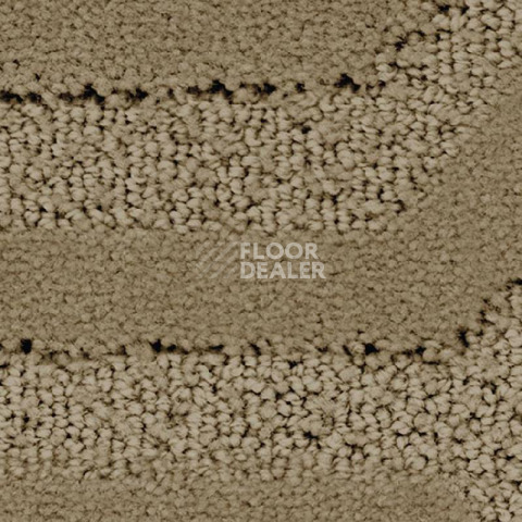 Ковролин Balsan Citadelle 630 фото 1 | FLOORDEALER
