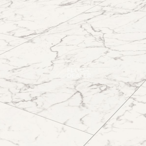 Falquon The Floor Stone D2921 Carrara Marble фото 2 | FLOORDEALER