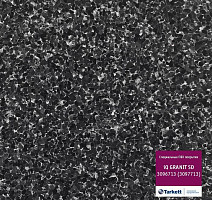Линолеум Tarkett iq Granit Sd 3096 713 (3097 713) фото 1 | FLOORDEALER