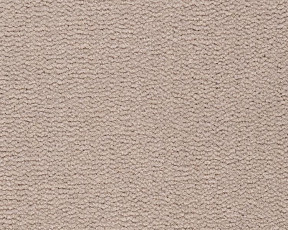 Best Wool Pure Tasman 129 фото 1 | FLOORDEALER