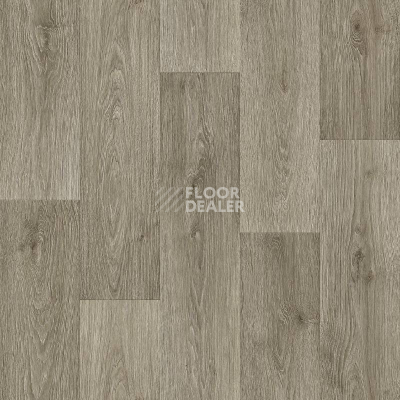 Линолеум Tarkett Premium BRENT 3 фото 1 | FLOORDEALER