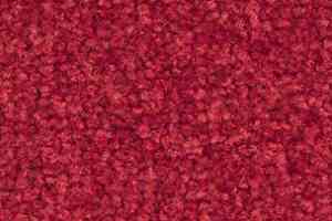 Ковролин Balsan Bolero roll 560 фото  | FLOORDEALER