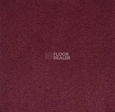 Ковролин Big Nobless 445 фото 1 | FLOORDEALER
