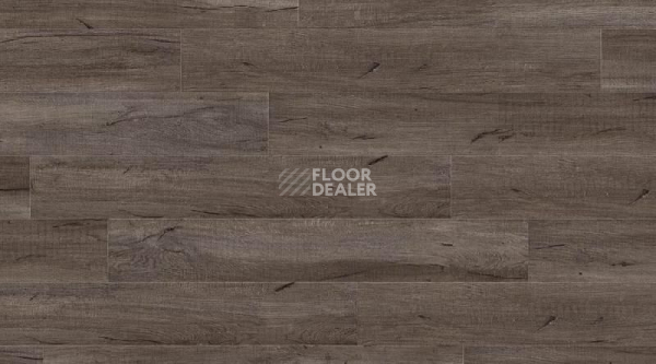 Кварцвиниловые полы Creation 55 0847_Swiss_Oak_Smoked фото 1 | FLOORDEALER