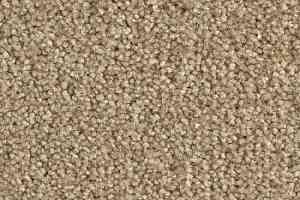 Ковролин Balsan Bolero 640 фото  | FLOORDEALER