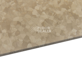 Tarkett iq Melodia 2614 фото 5 | FLOORDEALER