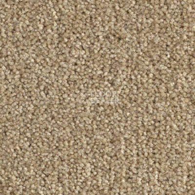 Ковролин Balsan Bolero 640 фото 1 | FLOORDEALER