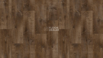 Линолеум Tarkett Gladiator Saratoga 3 фото 1 | FLOORDEALER