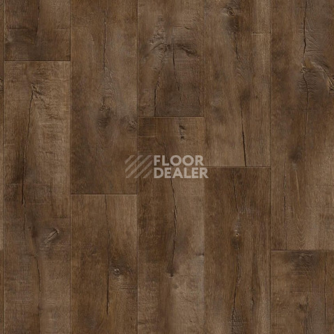 Линолеум Tarkett Gladiator Saratoga 3 фото 1 | FLOORDEALER