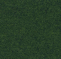 Ковролин Flotex wonderlab 07 900278 Pastoral фото 1 | FLOORDEALER